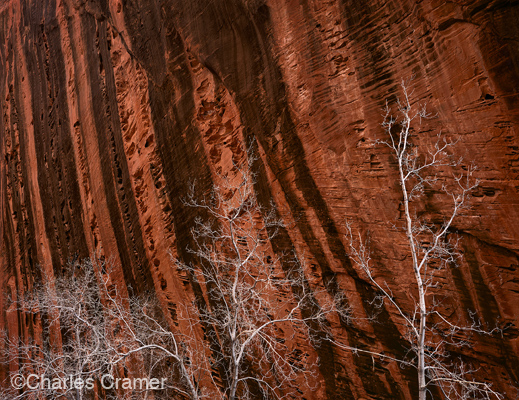 photograph &copy;Charles Cramer